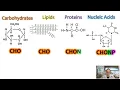 Download Lagu Elements of Life AP Biology Topic 1.2 (Updated 2025)