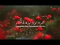 Download Lagu Wedding Nasheed - (Lyrics + English Translation ) Muhammad Al Muqit