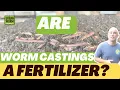Are Worm Castings A Fertilizer