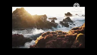 انشودة ما تصلوا بينا على المختار      التي يبحث عنها الملايين تريند التيكتوك    دندنها