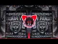 Download Lagu Sara Rola Patli Kamar Ka Dj Remix Edm Mix - DJ Swam X DJ AR THAKUR 