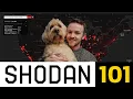 Shodan A Beginner s Journey