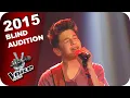 Download Lagu Ed Sheeran - Photograph (Noah-Levi) | The Voice Kids 2015 | Blind Auditions | SAT.1 MP3