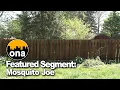 Featured Segment Mosquito Joe