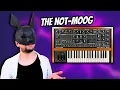 Download Lagu It's Like a Moog with a Twist! Cherry Audio Crumar Spirit Review 🍒