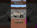 Download Lagu What's The Next Animal In Minecraft?