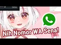 Download Lagu Sena memberitahu nomor HPnya!!