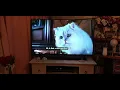 Download Lagu Stuart Little 2 Part 12 Midnight run with Snowbell Scene