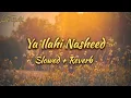 Download Lagu Ya Ilahi Nasheed Slowed Reverb 💖 | Ishaq Ayubi