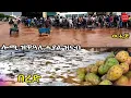 Download Lagu ህድሞና - ኣስመራ ዝወዓለ ማይን በረድን  | Heavy rain and Ice in Asmara - New Eritrean Video 2025