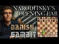 DEMOLISH the Danish Gambit with 3 Moves!? | GM Naroditsky's Opening Lab