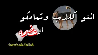 مهرجان كلبي الروت زاملني فعركة حالات واتس 