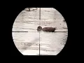 Download Lagu Berburu belibis bersama sniper pcp sei dua di tajur
