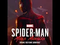 New York's Only Spider-Man