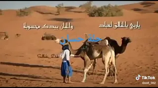 كيفان صحراويين 