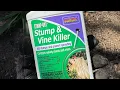How to Remove Tree Stumps Tough Vines Fast Bonide Stump-Out Review Results