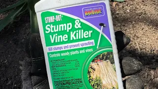 How to Remove Tree Stumps Tough Vines Fast Bonide Stump-Out Review Results