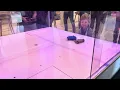 IMG 4536