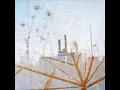 The Seven Fields of Aphelion - wildflower wood