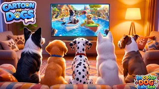 Dog TV When Home Alone Reduce Dog Anxiety in 15 Mins With Relaxing Music For Dogs