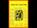 Structure and Functions of Plant cell organelles plant cell structure