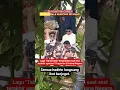 Download Lagu Lagu Viral ini meng9unc4ng istana😱#17agustus #videoshort #shorts