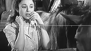 رائعة محمد فوزي طير بينا يا قلبي لحن 