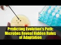 Download Lagu Predicting Evolution's Path: Microbes Reveal Hidden Rules of Adaptation