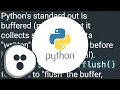 Usage of sys stdout flush method