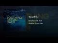 Ocean Tides