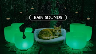 **WARNING** Very POWERFUL Sleep Sounds (+ Rain Sounds)