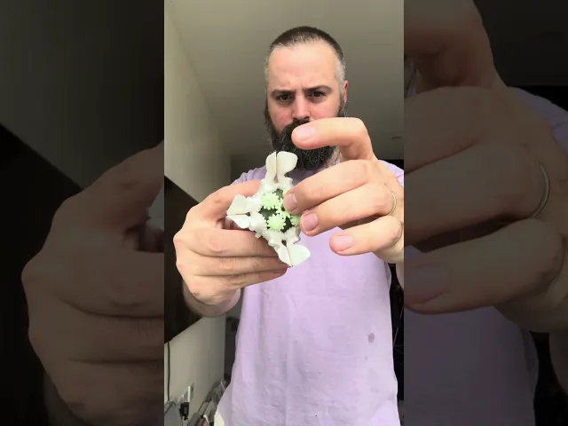 Cruciform Head video thumbnail