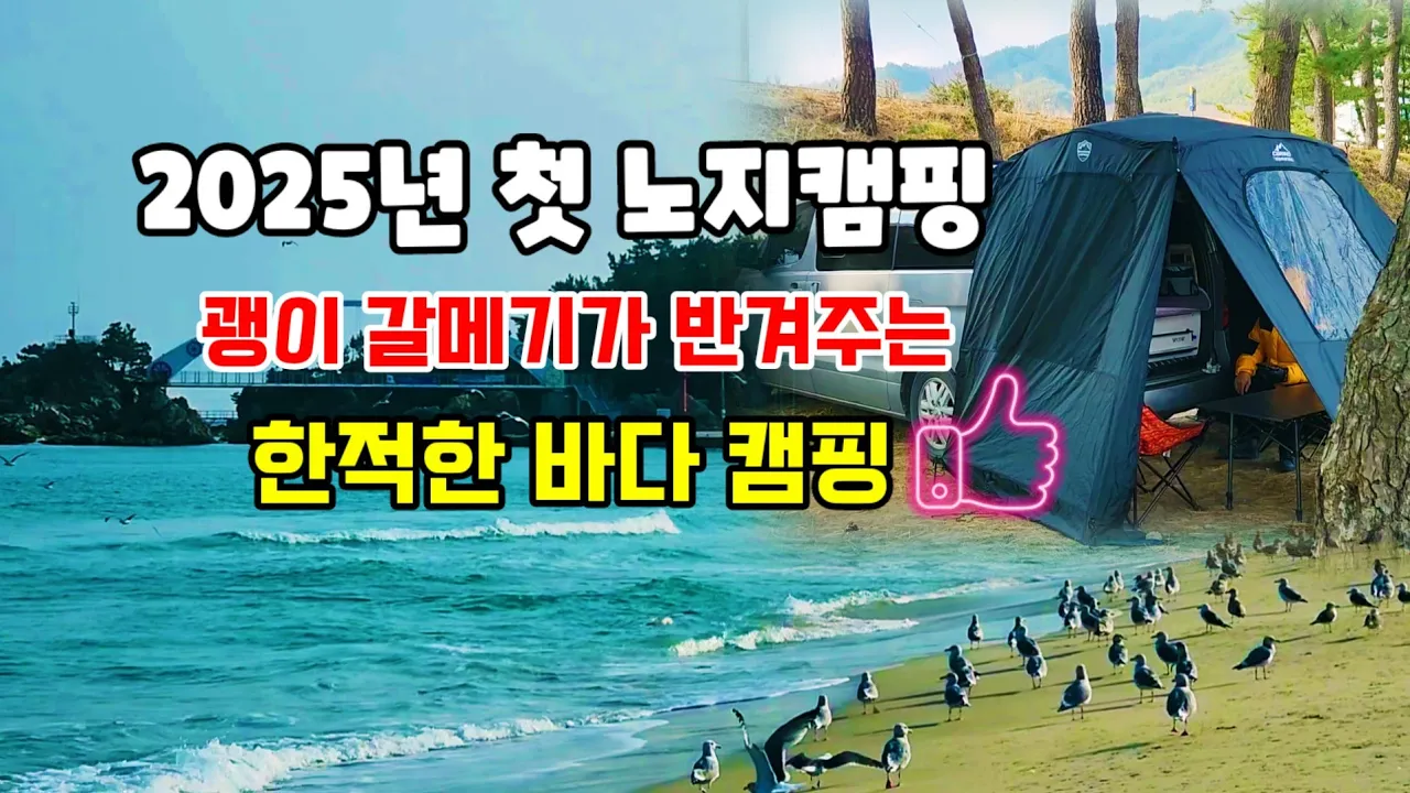 ⛰️ 2025년 새해 첫캠핑! 노지캠핑에 개방된 화장실! 와우! 괭이갈메기가 반겨주는 환상적인 바다뷰! サムネイル