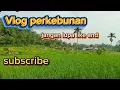 Download Lagu vlog Keindahan perkebunan