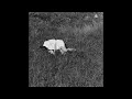 Nina Winder-Lind - Street Hassle (Official Audio)