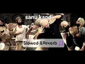 Sanu Kehndi (Slowed & Reverb) | Kesari | Vibe Audio