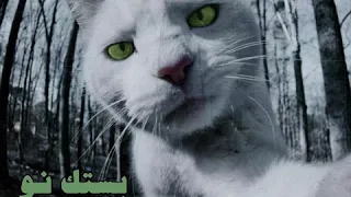                                     شاهين و سامر   بستك نو دندنها