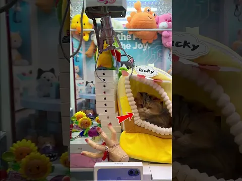 اليوم جئت لألقّن المدير درسًا 😂