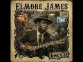 Lagu Elmore James (1951–1963) | Raw Delta Blues, Lonely Roads \u0026 Crying Slide Guitar