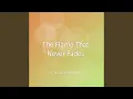 Lagu The Flame That Never Fades