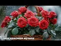 Download Lagu Прекрасная музыка🌿Прекрасные цветы🌿Прекрасные мелодии, от которых мурашки по коже, Сергей Грищук #2