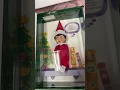 Elf on shelf Blue Eye Girl W Book