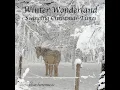Winter Wonderland