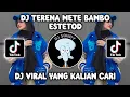 Lagu DJ TERENA METE BAMBO ESTETOD VIRAL TIKTOK TERBARU 2023 YANG KALIAN CARI