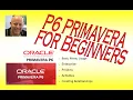 P6 Primavera Scheduling for Beginners - How-To