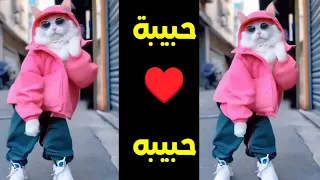 حبيبة حبيبه اغنية باسم حبيبه اغنيه بأسم حبيبة السعودية الجزائر المغرب الامارات المغرب حبيبه 