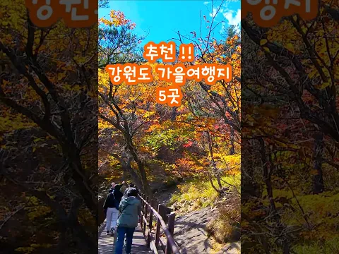 추천 !! 강원도 가을 여행지 5곳 #국내여행 #여행 #한국여행