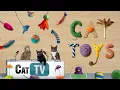 Download Lagu CAT Games | Ultieme katten speelgoed compilatie Vol 8 🧸🏐🪁 | 50 spellen in 1 | 8 UUR