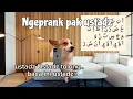 Download Lagu Nih nada kaya pernah dengar?