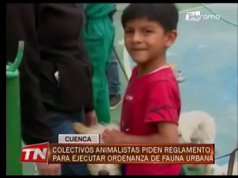Colectivos animalistas piden reglamento para ejecutar ordenanza de fauna urbana